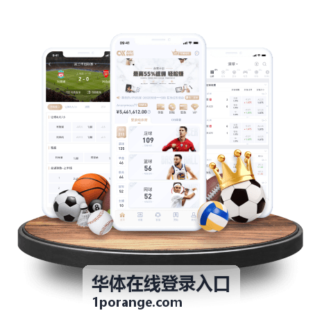 华体在线登录入口的页面结构与填写区域示意