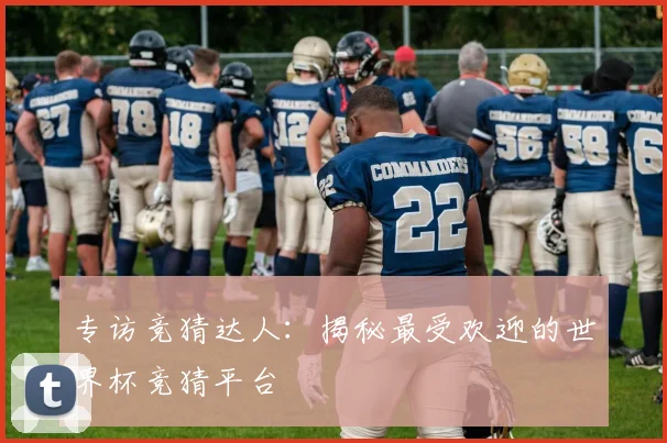专访竞猜达人：揭秘最受欢迎的世界杯竞猜平台