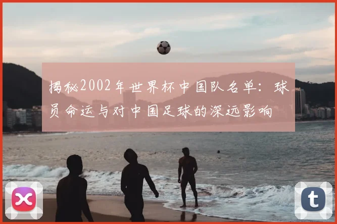 揭秘2002年世界杯中国队名单：球员命运与对中国足球的深远影响