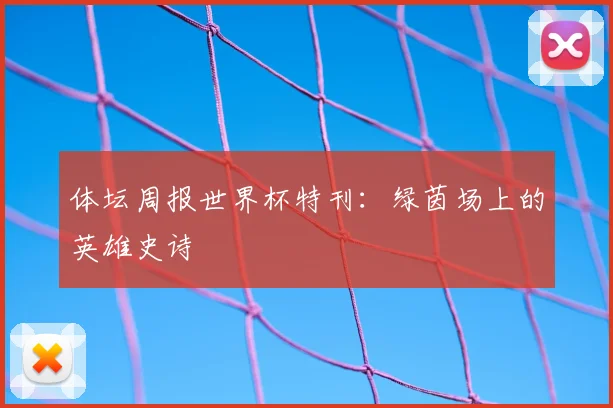 体坛周报世界杯特刊：绿茵场上的英雄史诗