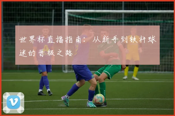 世界杯直播指南：从新手到铁杆球迷的晋级之路