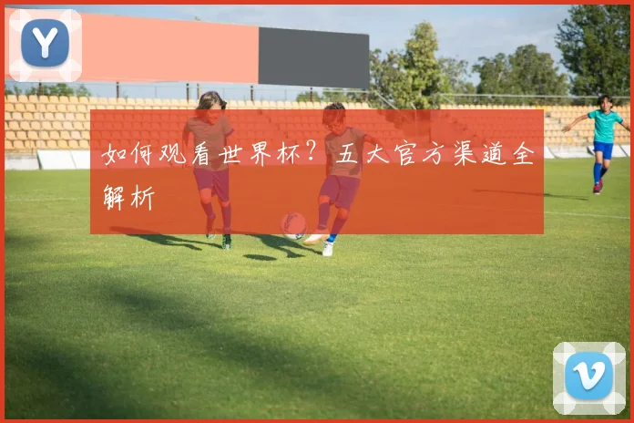 如何观看世界杯？五大官方渠道全解析