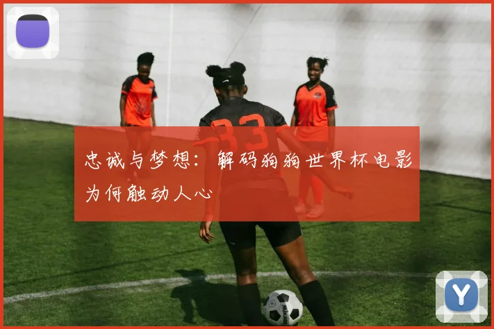 忠诚与梦想：解码狗狗世界杯电影为何触动人心