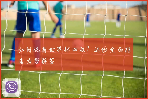 如何观看世界杯回放？这份全面指南为您解答