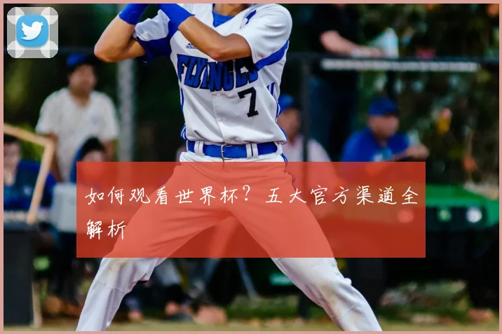 如何观看世界杯？五大官方渠道全解析