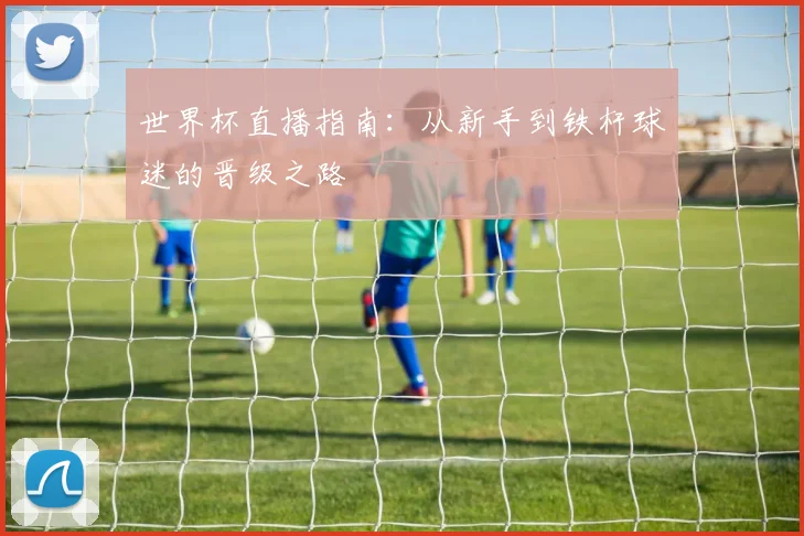 世界杯直播指南：从新手到铁杆球迷的晋级之路