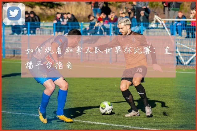 如何观看加拿大队世界杯比赛：直播平台指南