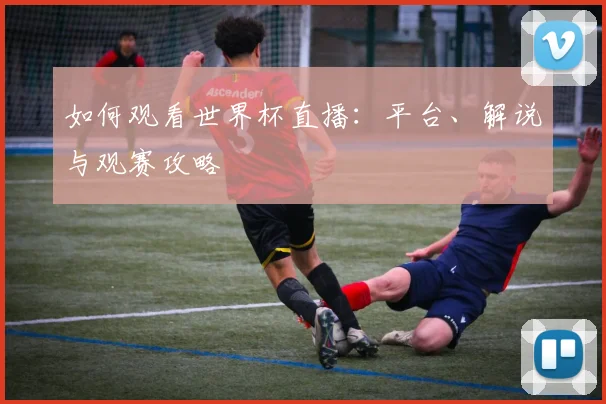 如何观看世界杯直播：平台、解说与观赛攻略