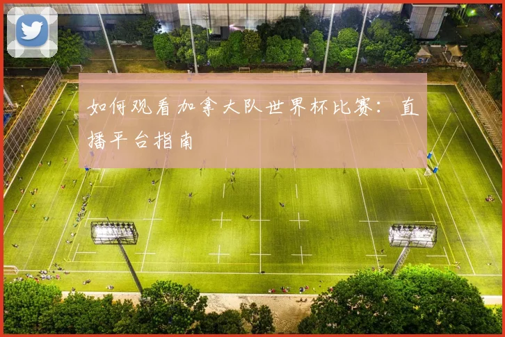 如何观看加拿大队世界杯比赛：直播平台指南