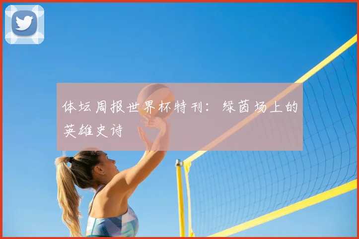 体坛周报世界杯特刊：绿茵场上的英雄史诗