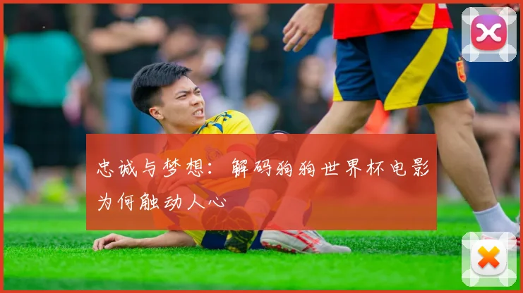 忠诚与梦想：解码狗狗世界杯电影为何触动人心