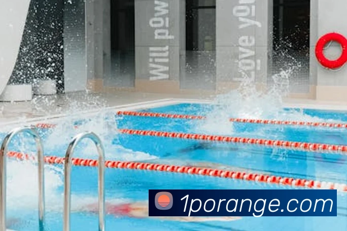 欧宝app官网入口服务体系